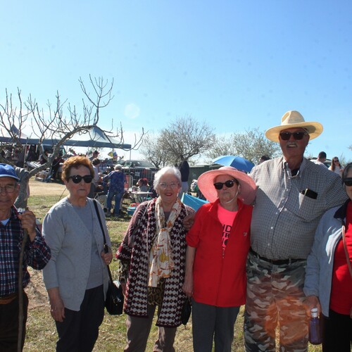 Almendro en flor 2026 (91)